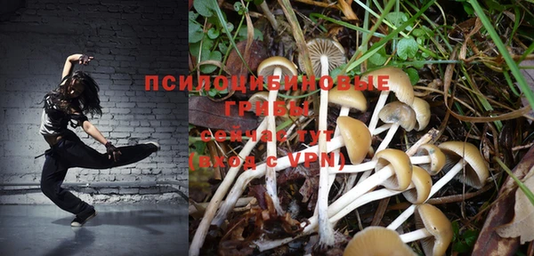тгк Аркадак