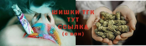 тгк Аркадак