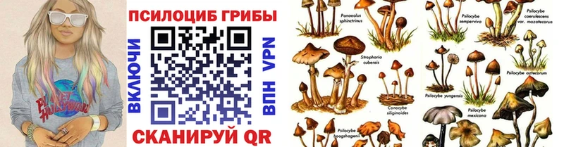 Галлюциногенные грибы MAGIC MUSHROOMS Починок
